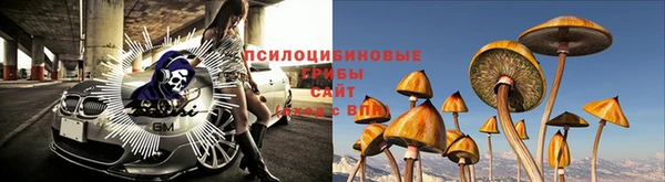 бошки Володарск