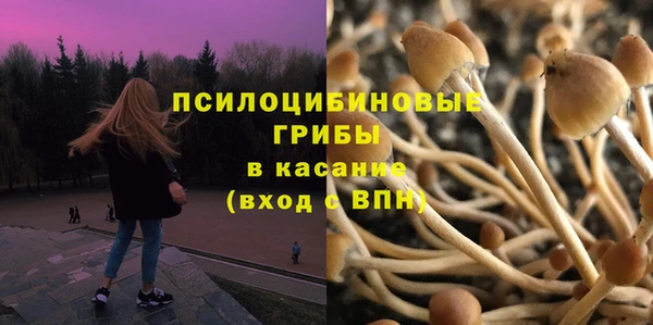 бошки Володарск