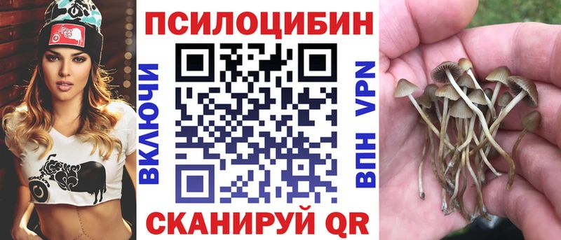 blacksprut рабочий сайт  Георгиевск  Псилоцибиновые грибы Psilocybe 